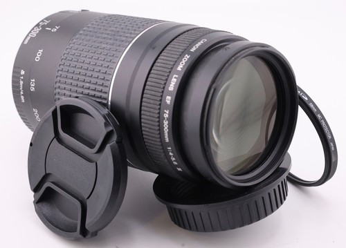 Canon 300mm 5 6 iii - 75-300mm,